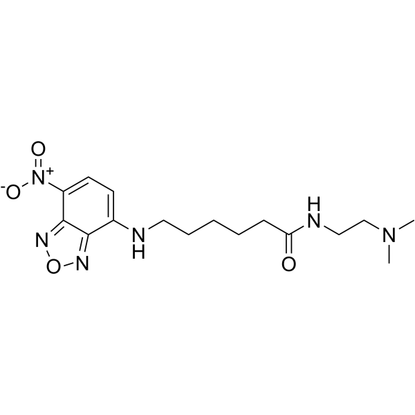 LysoTracker Yellow HCK 123