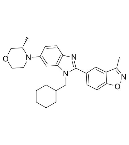 Y06137