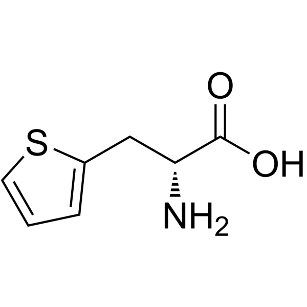 3-(2-噻吩基)-D-丙氨酸