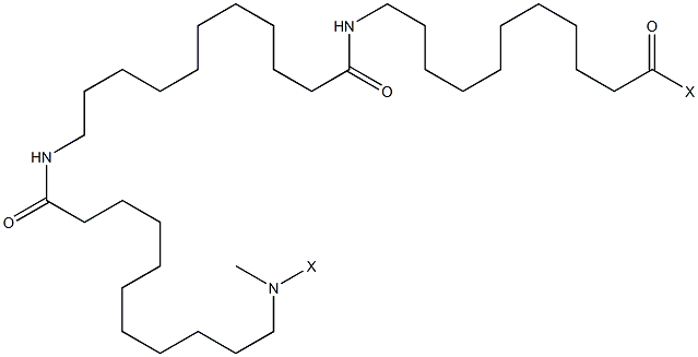 尼龙 11