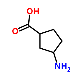 3-氨基环戊烷甲酸