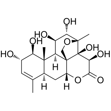 鸦胆子素E