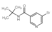 5-溴-N-叔丁基烟酰胺