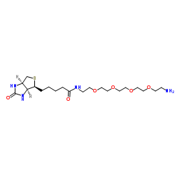 Biotin-PEG4-amine