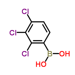 2,3,4-三氯苯硼酸