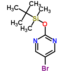 5-溴-2-(叔丁基二甲氧基甲硅烷)嘧啶