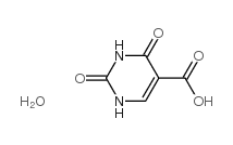 一水合尿嘧啶 -5-羧酸