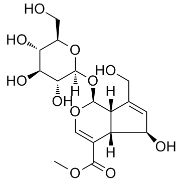 鸡矢藤次苷甲酯