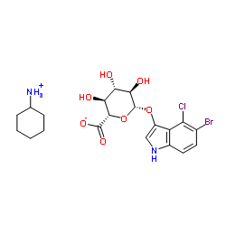 5-溴-4-氯-3-吲哚基-β-D-葡糖苷酸环己胺盐(X-GlcA)