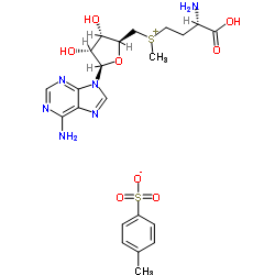 S-腺苷蛋氨酸