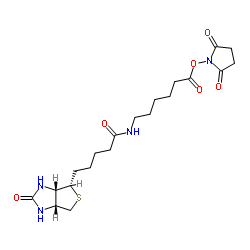 生物素化-epsilon-氨基己酸-N-羟基丁二酰亚胺活化酯