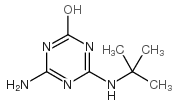 特丁津-脱乙基-2-羟基