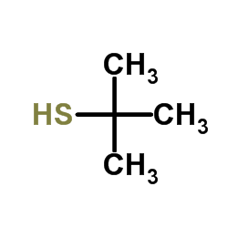 叔丁基硫醇