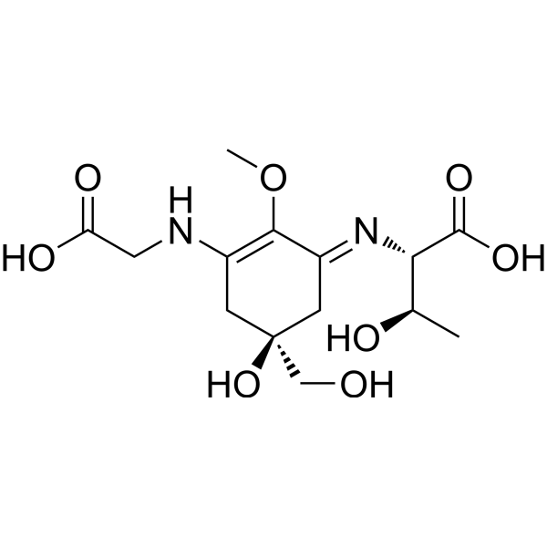 Porphyra 334