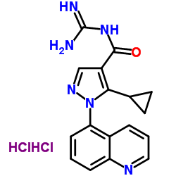 Zoniporide hydrochloride