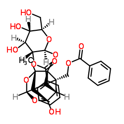 2'-O-苯甲酰基芍药甙