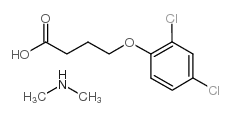 2,4-DB-二甲基胺盐