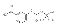 3-(N-Boc-氨基)苯硼酸