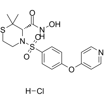 Prinomastat hydrochloride