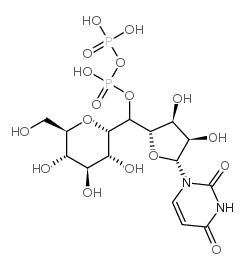 尿苷二磷酸葡萄糖