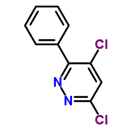 4,6-二氯-3-苯基哒嗪