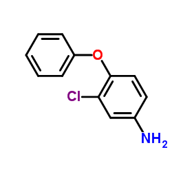 3-氯-4-苯氧基苯胺