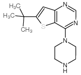 6-(叔丁基)-4-(哌嗪-1-基)噻吩并[3,2-d]嘧啶