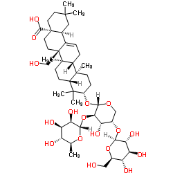 红背银莲花皂甙20