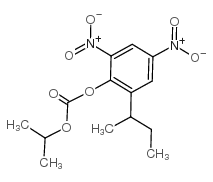 2-仲丁基-4,6-二硝基苯基异丙基碳酸酯