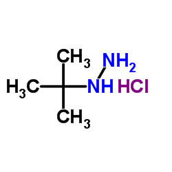 叔丁基肼盐酸盐