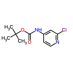 4-(Boc-氨基)-2-氯吡啶