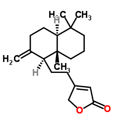 8(17),13-赖百当二烯-15,16-内酯