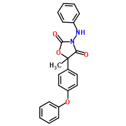 恶唑酮菌