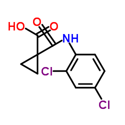 环丙酰胺酸