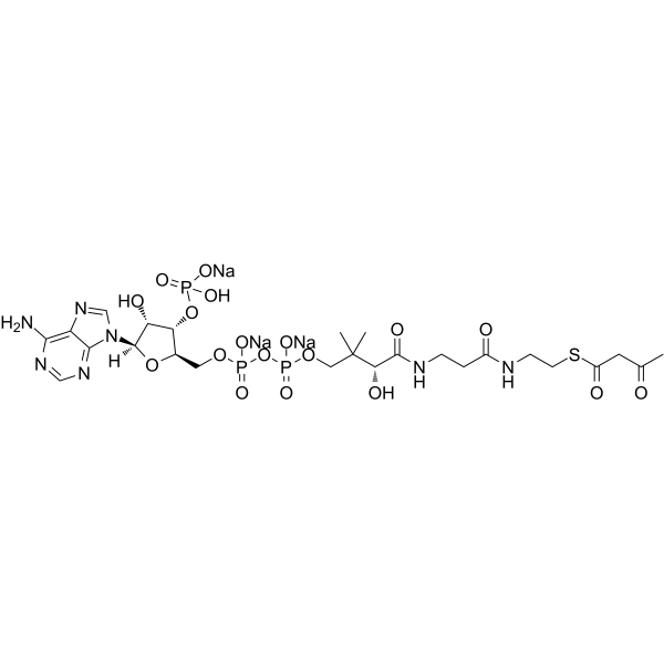 乙酰乙酰辅酶A钠盐