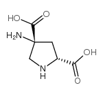 (2R,4R)-APDC