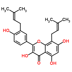 构树黄酮醇 F