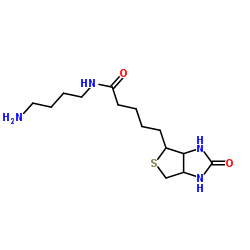 Biotin-C4-amide-C5-NH2