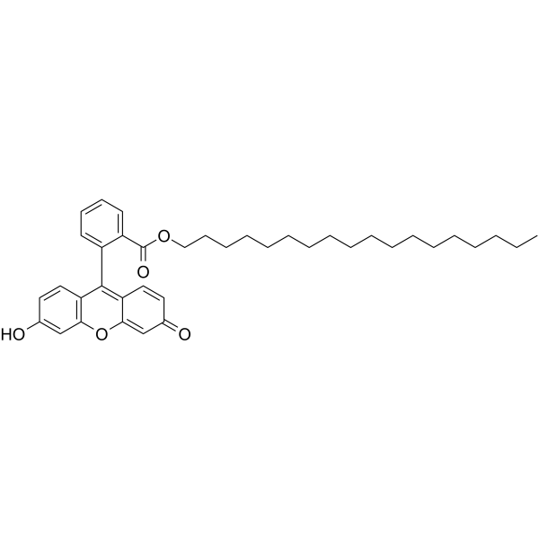 荧光十八酯