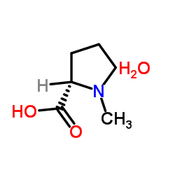 N-甲基-L-脯氨酸,一水
