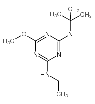 特丁通