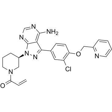 CHMFL-EGFR-202