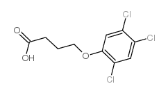 2,4,5-涕丁酸