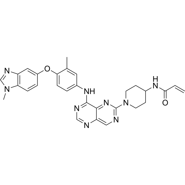 Zongertinib