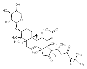 黑升麻苷H-1