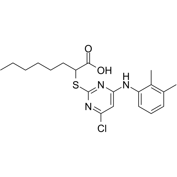 YS121