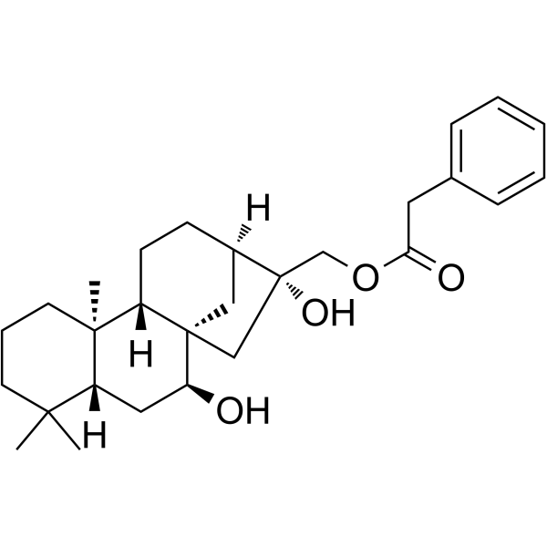 黄花香茶菜素O