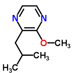 2-甲氧基-3-异丁基吡嗪