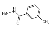 3-甲基苯甲酰肼