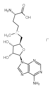 S-(5′-腺苷)-L-甲硫氨酸碘盐